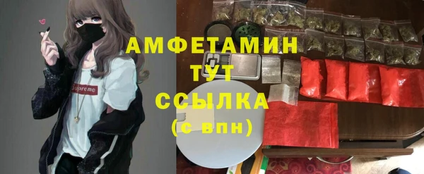 стафф Россошь