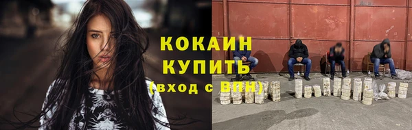 индика Армянск