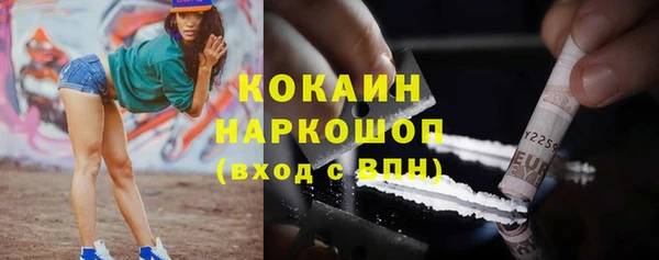 индика Армянск