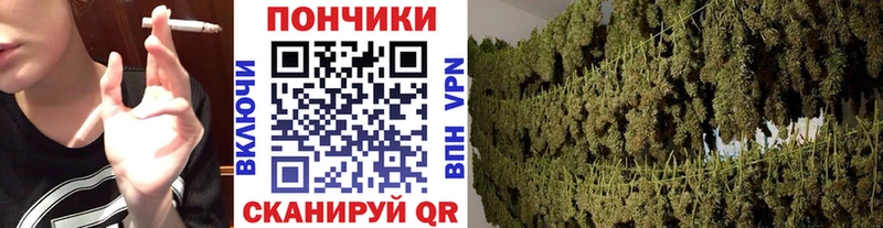 Бошки Шишки конопля Семёнов